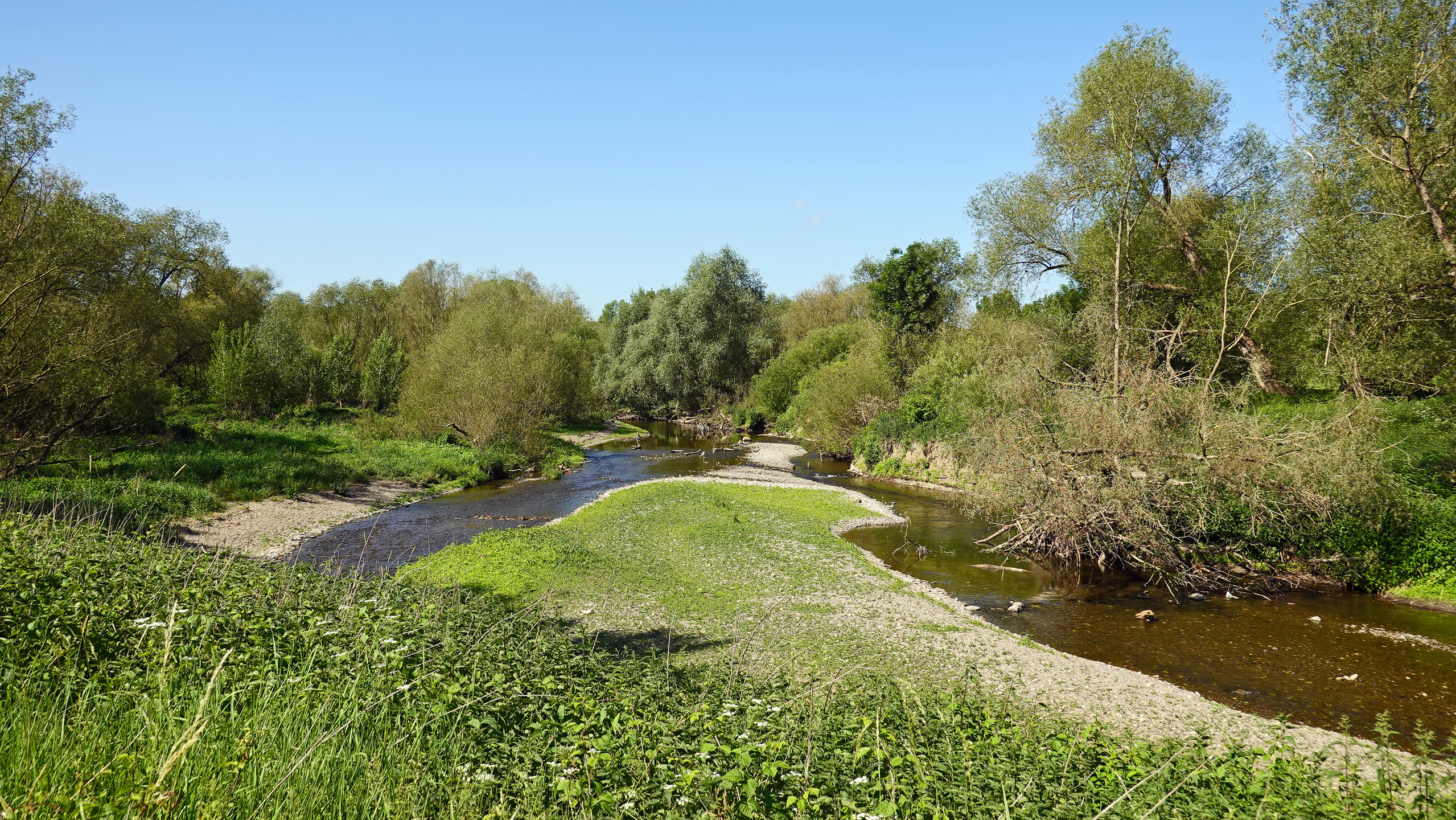 Mündungsgebiet der Ahr bei Remagen/Kripp